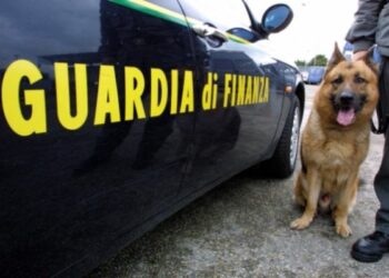 Vamos fiuta marijuana sul lungomare di Crotone, arrestato giovane