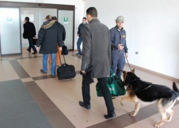 Droga, finanza nei luoghi sensibili di Crotone