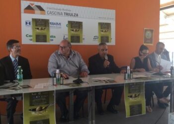 L’olio crotonese Pennulara contro i tumori, workshop all’Expo