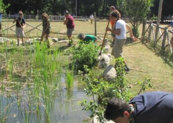 Gli Scout crotonesi ripuliscono l’oasi naturalistica ‘Donaglie’