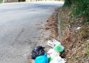 Rifiuti abbandonati lungo le strade a Ciro’