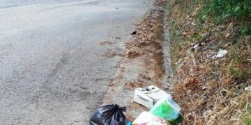 Rifiuti abbandonati lungo le strade a Ciro’