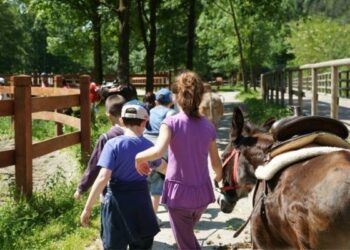 Agriturismi calabresi e prodotti tipici, accoppiata vincente
