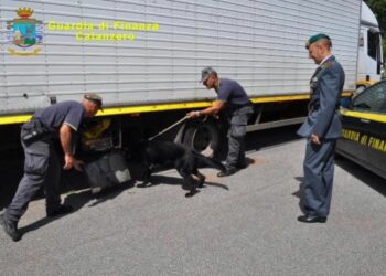 ‘Carico’ di eroina su un tir, arrestato trafficante a Lamezia