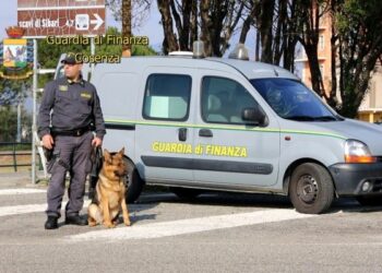 Da gennaio sequestrati 29 kg stupefacenti dai finanzieri nel cosentino