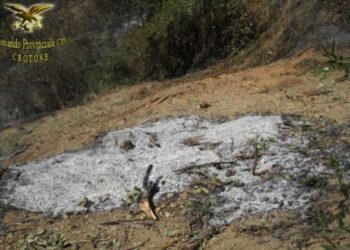 Denunciato operaio per incendio colposo nel crotonese