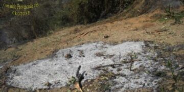 Denunciato operaio per incendio colposo nel crotonese