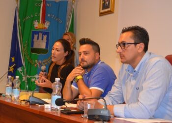 Allarme ‘lingua blu’ a Isola: 800 capi morti, comune chiede aiuto a Regione