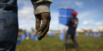 Lotta a caporalato e lavoro nero, incontro in prefettura a Crotone