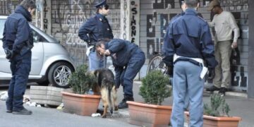 Droga, blitz contro il clan degli zingari: 14 arresti a Cosenza