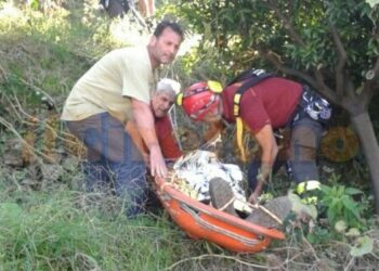 Malore mentre coltiva vigneto, anziano salvato nel reggino