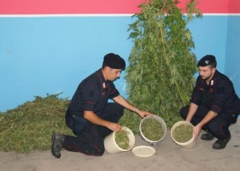 Lotta senza quartiere dei Carabinieri allo spaccio di droga