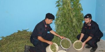 Lotta senza quartiere dei Carabinieri allo spaccio di droga