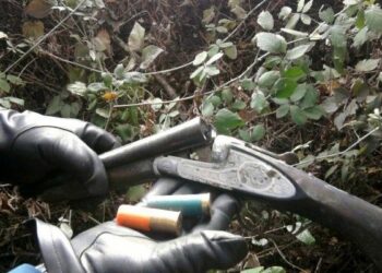 Ritrovate tra vegetazione armi e munizioni a Corigliano