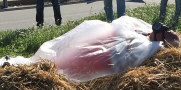 Protesta per la SS106, Nando Amoruso si e’ fatto coprire di letame