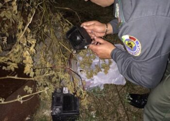 Richiami per quaglie sofisticati e illegali, sequestri nel crotonese