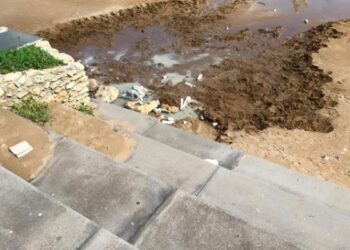 Cumuli di spazzatura sulla spiaggia, progetto a costo zero di FI Giovani Crotone