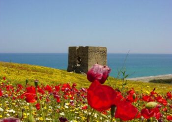 Lanciata una petizione per salvare Madonna di Mare