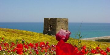 Lanciata una petizione per salvare Madonna di Mare