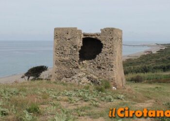 Mercati Saraceni tra petizioni, progetto Torre e referendum