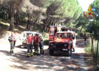 Esercitazione di ricerca dispersi a Catanzaro, simulato incidente aereo