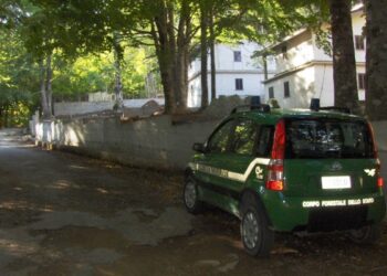 Mesoraca, muri abusivi realizzati a villaggio Fratta