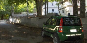 Mesoraca, muri abusivi realizzati a villaggio Fratta