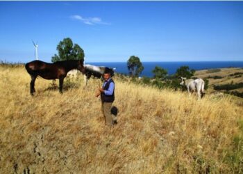 Domenica parte ‘Stalle aperte’, prima tappa a Melissa