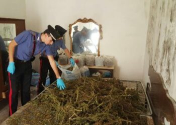 Carabinieri, un arresto a Casabona e 25 kg di droga sequestrata