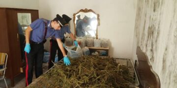 Carabinieri, un arresto a Casabona e 25 kg di droga sequestrata