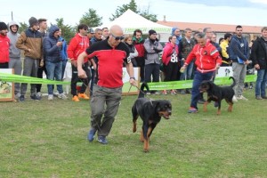 4° Trofeo Arkon dell’Antico Guerriero a Cirò Marina