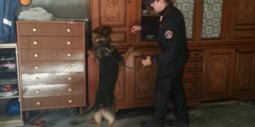 Ancora Willy in azione, arrestato armaiolo a Cutro