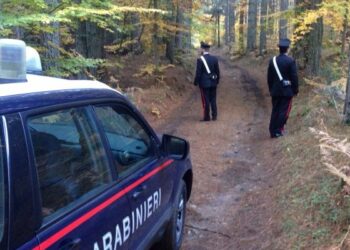 Cercatore di funghi si perde nei boschi di Savelli