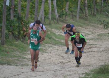 A Ciro’ Marina corsa tra i vigneti, tutto pronto per la ‘Mini Maratona del vino’