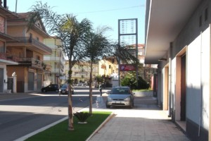 Nuove palme su via Roma