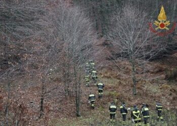Cercatore di funghi si perde nei boschi di Mesoraca