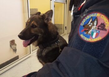 Willy fiuta proiettili e detonatori in villa, un arresto a Crotone