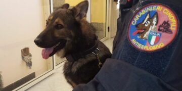 Willy fiuta proiettili e detonatori in villa, un arresto a Crotone