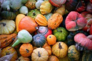 biodiversità_agricola