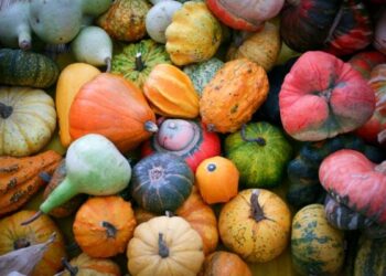 Arriva legge su biodiversita’ agroalimentare