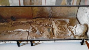 Guerriero nella teca del museo