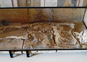 Si sta sgretolando il guerriero di Ciro’