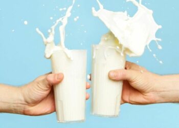 Intesa su latte, 36 centesimi al litro per gli allevatori