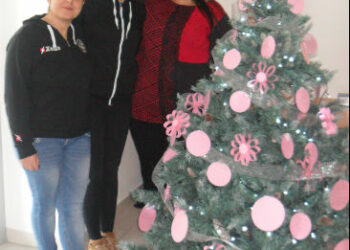 Crucoli, albero di Natale rosa nelle sedi comunali