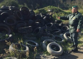 Discarica abusiva a Catanzaro, eternit e 400 pneumatici
