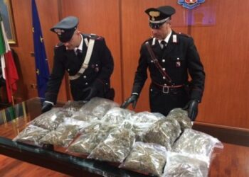 In auto con 13 chili di marijuana, bloccato in autostrada a Cosenza