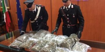 In auto con 13 chili di marijuana, bloccato in autostrada a Cosenza