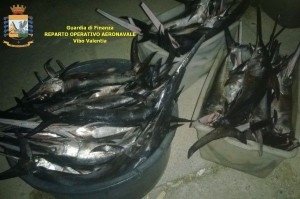 Pesce spada sequestrato