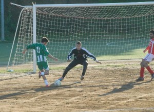 carfizzi-belved0001_2