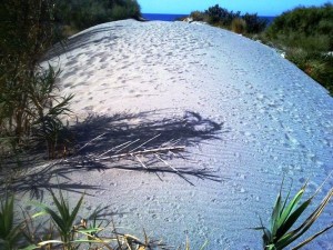 Duna dell'elefante  presso la Marinella
